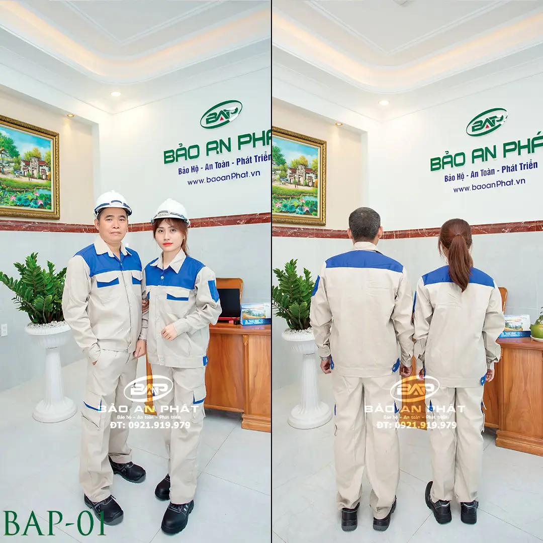 bap-01