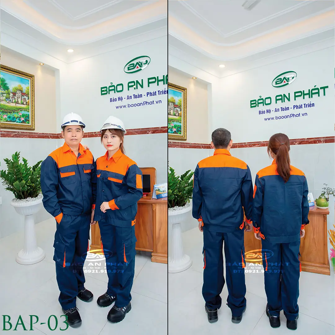 bap-03