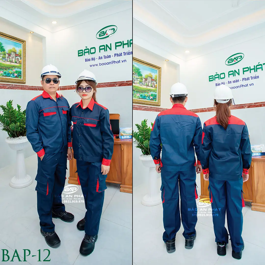 bap-12