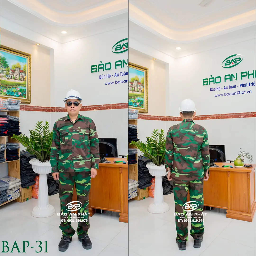 bap-31