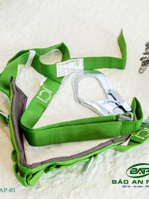 Dây an toàn DAY-BAP-01