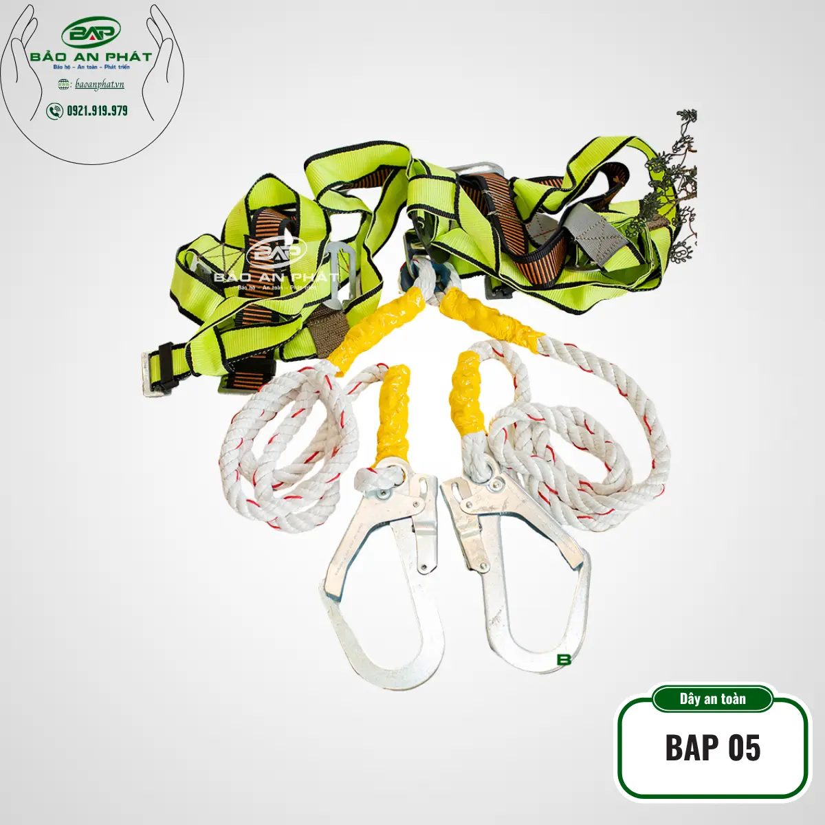 Dây đai an toàn nhập khẩu